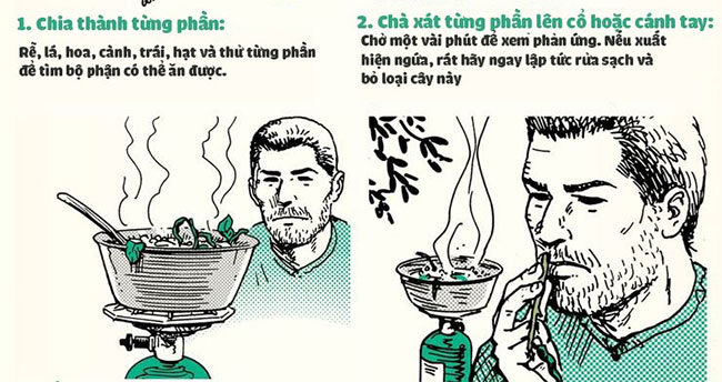 Cách để nhận biết đâu là loại cây có thể ăn được