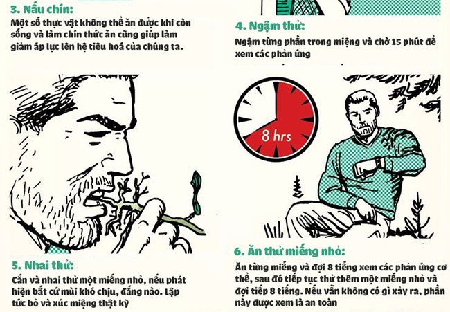 Cách để nhận biết đâu là loại cây có thể ăn được
