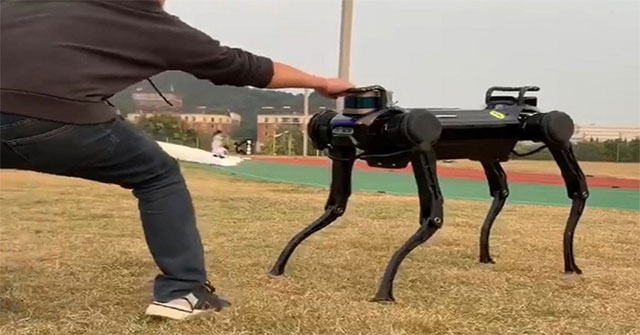 Chó robot có thể tự vệ khi bị người tấn công