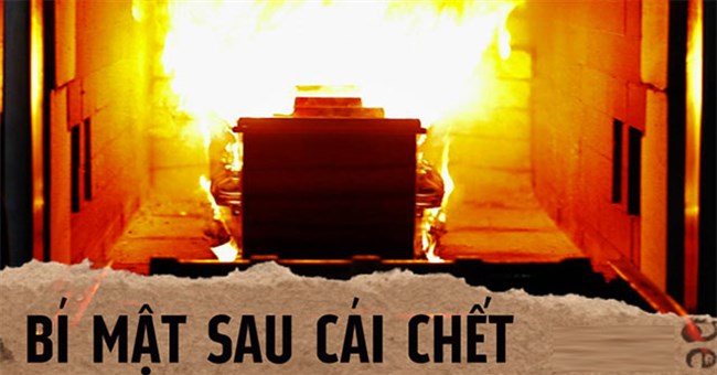 Mất bao lâu và nóng bao nhiêu độ để thiêu 1 thi thể thành tro?