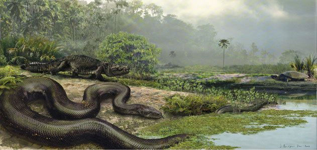 Huyền thoại loài rắn quái vật từng thống trị Colombia thời tiền sử