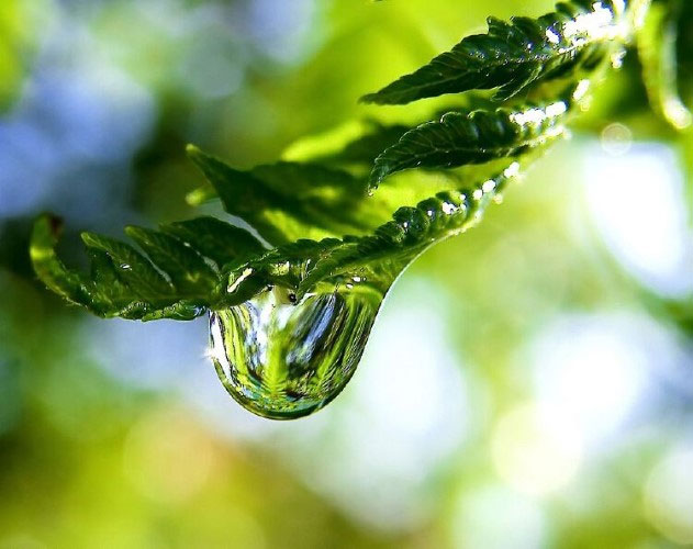 Phát hiện liên kết hóa học cực mạnh