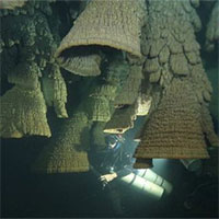 Bí ẩn hang động chứa đầy "chuông tử thần" ở Mexico