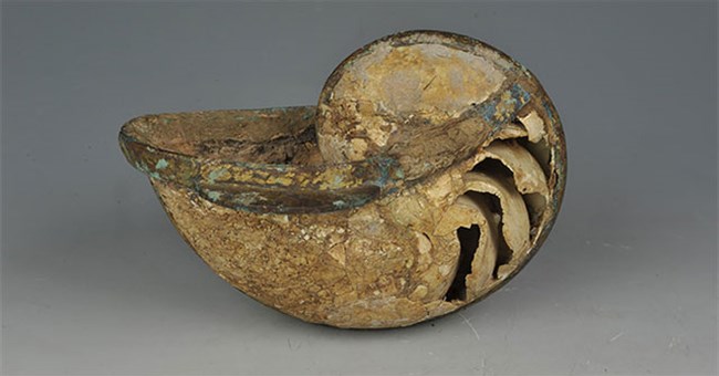 Cốc rượu kỳ dị "uống mãi không hết" trong ngôi mộ cổ: Sự thật chỉ được hé lộ sau khi chụp X-quang