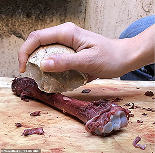 Phát hiện sốc từ gia tài của 