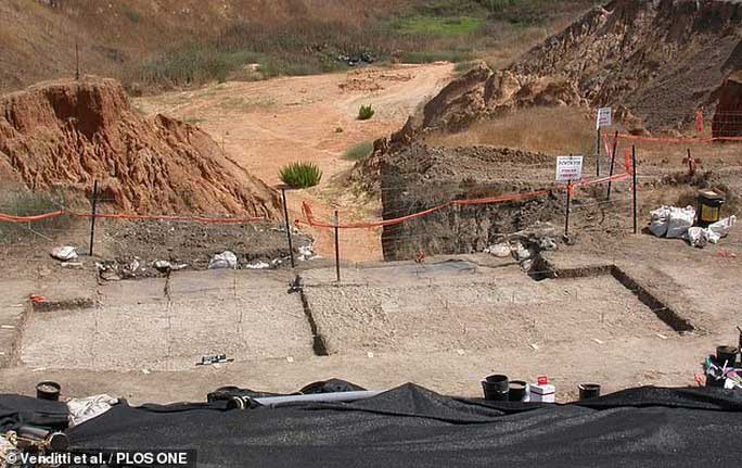 Phát hiện sốc từ gia tài của 