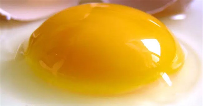 Khối lòng đỏ trứng "ma thuật" này đang giúp các nhà khoa học hiểu về chấn thương sọ não