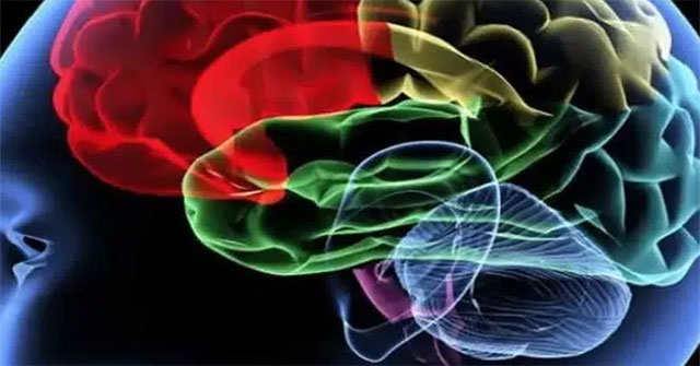 Dùng công nghệ đọc được ký ức của nghi phạm, cảnh sát Dubai bắt được kẻ giết người