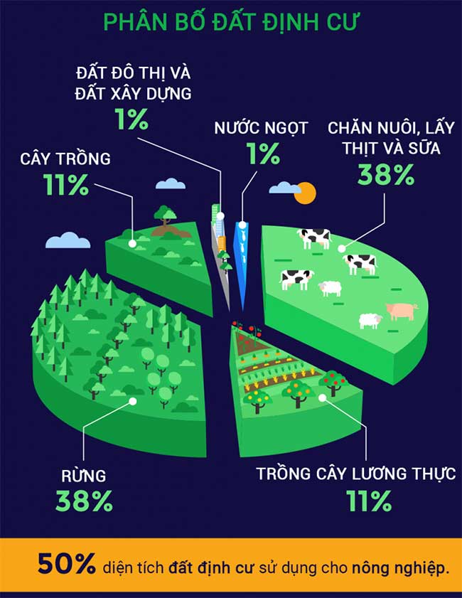 Tìm hiểu tình trạng lãng phí thực phẩm trên toàn thế giới
