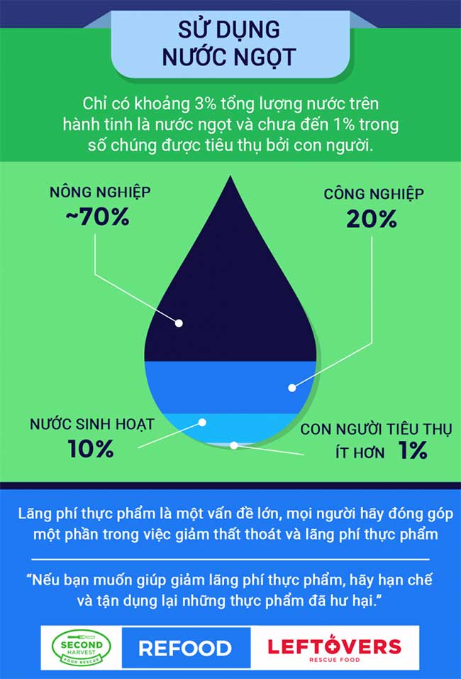 Tìm hiểu tình trạng lãng phí thực phẩm trên toàn thế giới