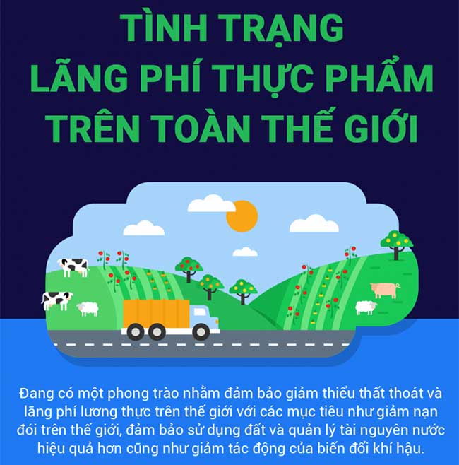 Tìm hiểu tình trạng lãng phí thực phẩm trên toàn thế giới