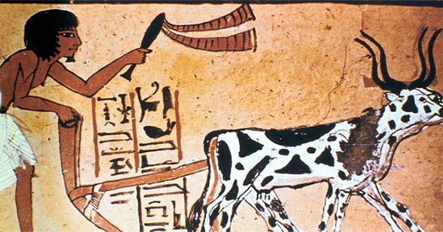 Tiết lộ sự thật đáng kinh ngạc ít ai biết về Ai Cập cổ đại 