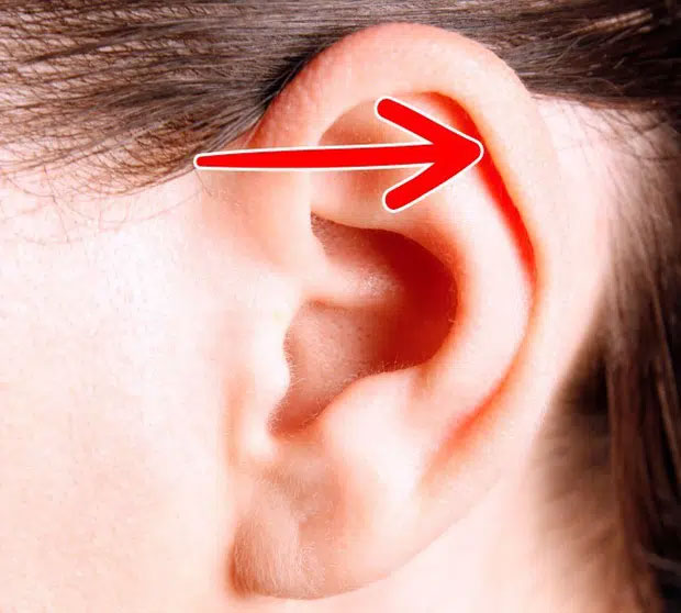 Rất nhiều bộ phận cơ thể chúng ta sẽ 