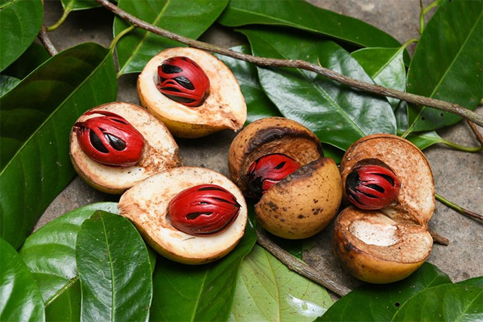 Khám phá quần đảo “gia vị” ở indonesia