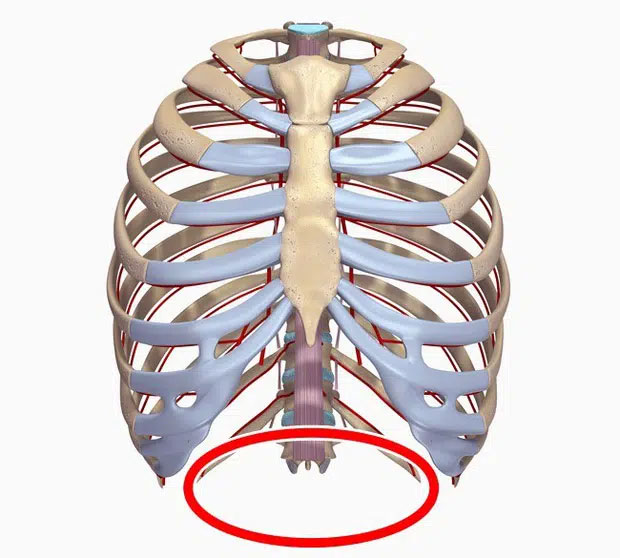 Rất nhiều bộ phận cơ thể chúng ta sẽ 