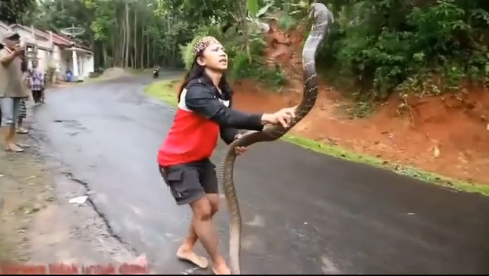 Cô gái này dùng 2 tay giữ lấy phần thân của con rắn.