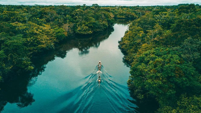 Sông Amazon là con sông lớn nhất thế giới