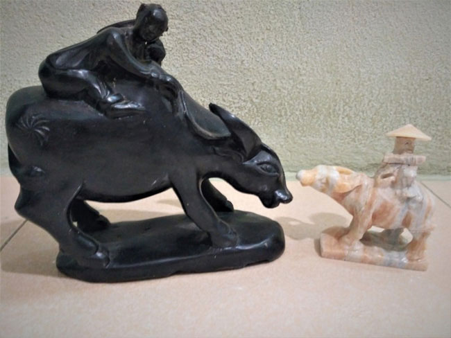 Nhân năm Sửu nói về các giống trâu trên thế giới