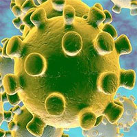 Tất cả virus corona trên thế giới nằm vừa trong một lon nước ngọt