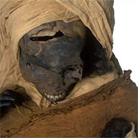 Xác ướp hé lộ pharaoh Ai Cập bị xử tử ngay trên chiến trường