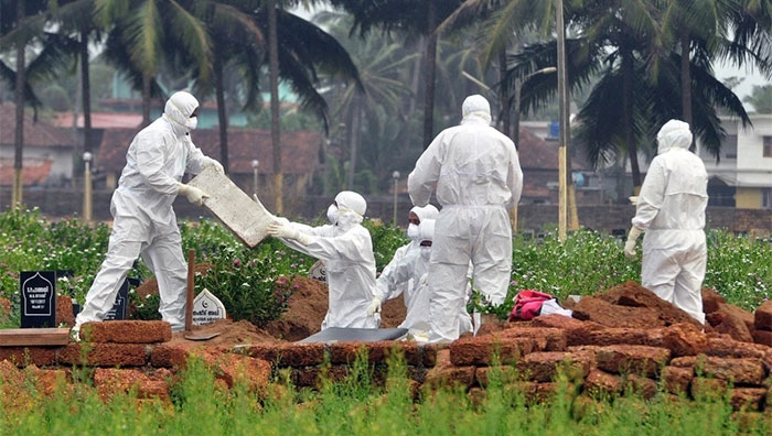 Cảnh báo virus từ dơi gây phù não có thể là đại dịch tiếp theo