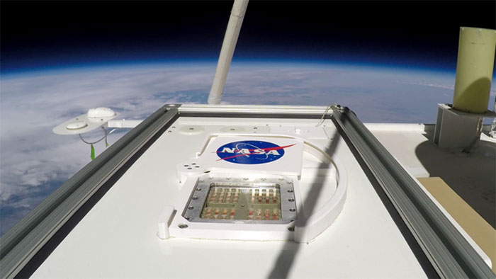 NASA cho hay: Một số sinh vật Trái đất có thể tạm thời sống sót trên sao Hỏa