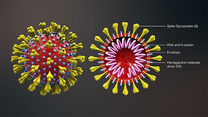 Những loại virus nguy hiểm trên Trái Đất