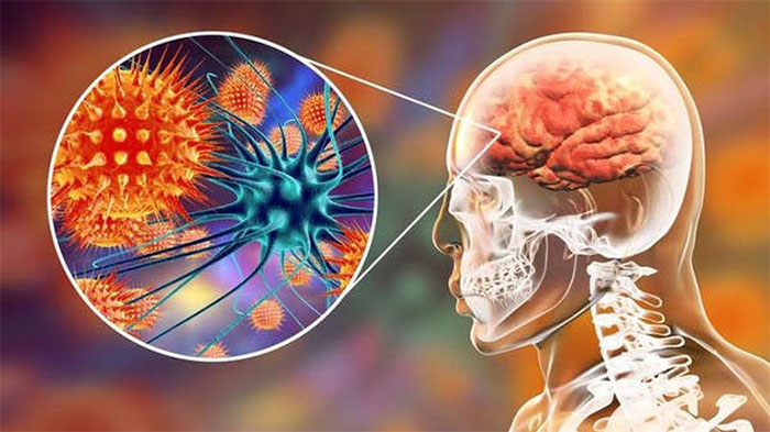 Những loại virus nguy hiểm trên Trái Đất