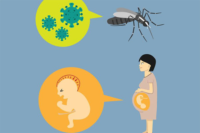 Những loại virus nguy hiểm trên Trái Đất