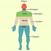 Những nguyên tố hóa học nào có trong cơ thể người?