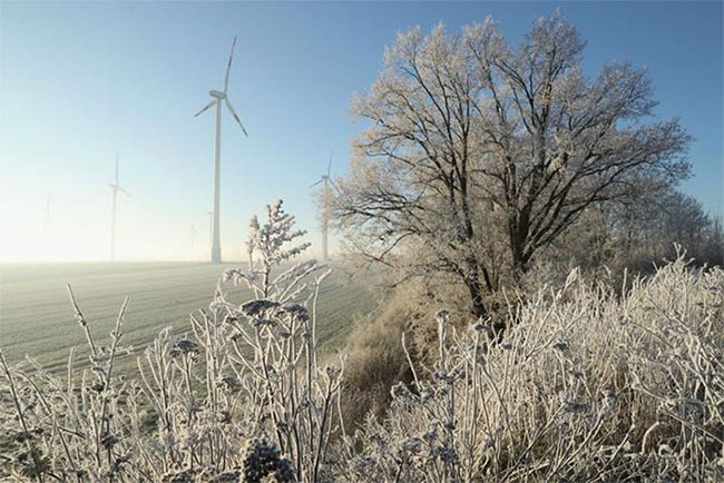 Tại sao turbine gió không bị đông cứng trong khí hậu lạnh?