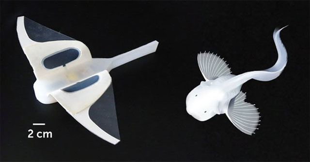 Robot thám biển biển sâu đập vây như cá