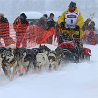 Video: Iditarod - Cuộc đua chó kéo xe trượt tuyết khắc nghiệt nhất thế giới