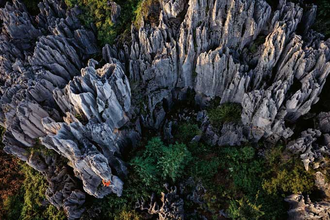 Khám phá rừng đá 270 triệu năm tuổi