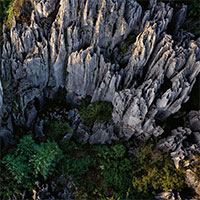 Khám phá rừng đá 270 triệu năm tuổi
