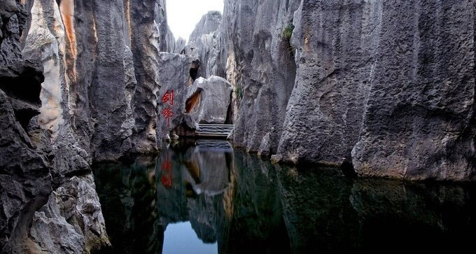 Khám phá rừng đá 270 triệu năm tuổi
