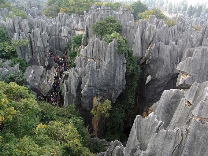 Khám phá rừng đá 270 triệu năm tuổi