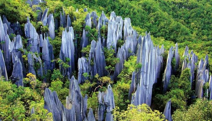 Khám phá rừng đá 270 triệu năm tuổi