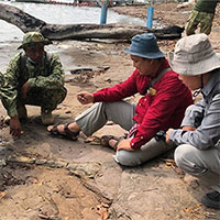 Campuchia phát hiện xương hóa thạch từ thời đại khủng long