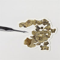 Phát hiện mới về cuộn giấy Biển Chết ở "Hang Rùng rợn"