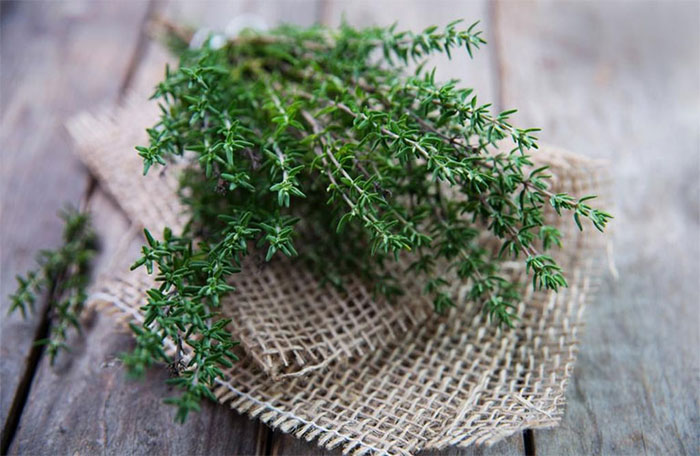 Top 8 loại thảo mộc và trái cây hữu ích trong phòng, chống Covid-19