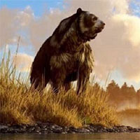 Gấu nâu khổng lồ nhất thế giới cao 4,5m nặng 1,5 tấn: "Sự thực hay chỉ là lời nói dối?"