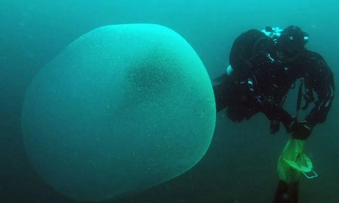 Thợ lặn quan sát một khối cầu trứng mực.