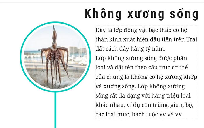 Tìm hiểu 6 lớp sinh vật cơ bản trên thế giới hiện nay
