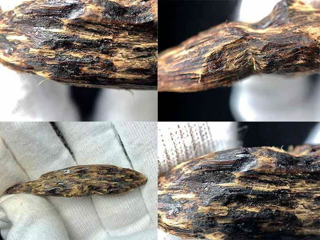 Hình chụp sắc nét khối trầm hương chìm nước. Thớ dầu đen và nhiễm phần lớn khối gỗ.