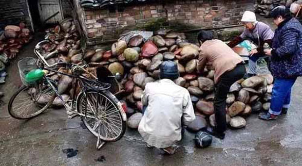 Ngôi làng ẩn chứa 
