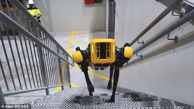 Xem chó robot trị giá 1,7 tỷ đồng của quân đội Pháp 