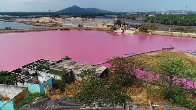 Đầm nước ở Bà Rịa - Vũng Tàu chuyển màu hồng tím và sự thật phía sau