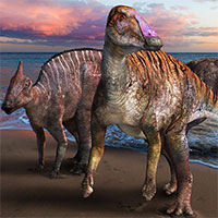 Phát hiện hóa thạch cực hiếm tiết lộ khủng long mỏ vịt mới