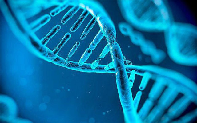 Các nhà khoa học tạo ra một công cụ chỉnh sửa gene mới